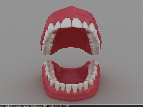 3d dentition model - dentition .max by marcel23d